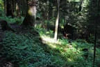 5. Watschenbachturnier Bild 43