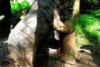 5. Watschenbachturnier Bild 52