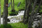 30. Sonnblickturnier Rauris 2025 Bild 21