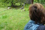 30. Sonnblickturnier Rauris 2025 Bild 32