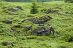 30. Sonnblickturnier Rauris 2025 Bild 34