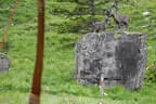 30. Sonnblickturnier Rauris 2025 Bild 56