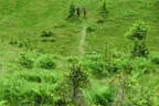 30. Sonnblickturnier Rauris 2025 Bild 58