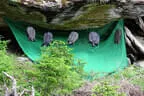 30. Sonnblickturnier Rauris 2025 Bild 69