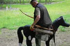 30. Sonnblickturnier Rauris 2025 Bild 74
