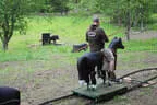 30. Sonnblickturnier Rauris 2025 Bild 73