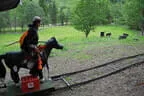 30. Sonnblickturnier Rauris 2025 Bild 76
