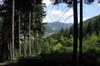 2025 Ausflug TBSC Trofaiach Bild 12