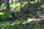 2025 Ausflug TBSC Trofaiach Bild 19