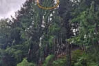 2025 Ausflug Killerbienen Bild 18