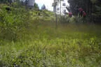 5erl BSV Avalon Bild 11