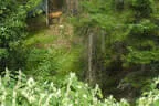5erl BSV Avalon Bild 21