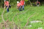 5erl BSV Avalon Bild 24