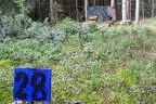5erl BSV Avalon Bild 29