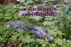 Vereinsturnier 2026 Bild 1