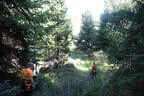 Vereinsturnier 2026 Bild 34