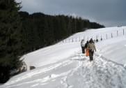 7. Winterturnier Saalfelden