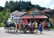 BSV Peilstein 2012