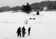 Bogensportpark Hallaich 2013
