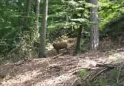 Parcorus Pörtschach