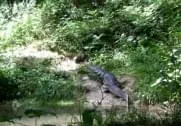 Parcours Thiersee