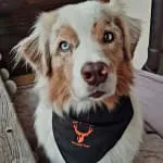 Parcourssperre Parcourssperre