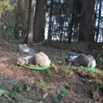 10.-Abenberger-Jagdbogenturnier