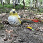 5erl-Turnier-beim-BSV-Avalon