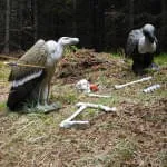 17.-Dolomitenturnier