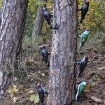 Rund-um-die-Gotzenmuehle