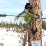 5erl-bem-BSC-Final-Target