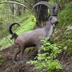 15.-Glemmerhofturnier