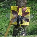 10-BSV-Iseltal-Turnier