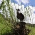 11.-Turnier-vom-BSV-Iseltal