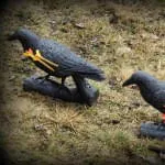 9.-Turnier-BSV-Oberkrammern