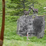 30.-Sonnblickturnier-Rauris