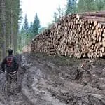 Auraeumarbeiten-am-Parcours